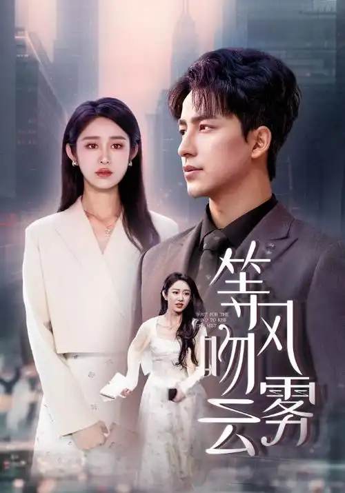 雾港十二时 热播剧